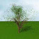 Tree generick 3D Model Preview #b189b162