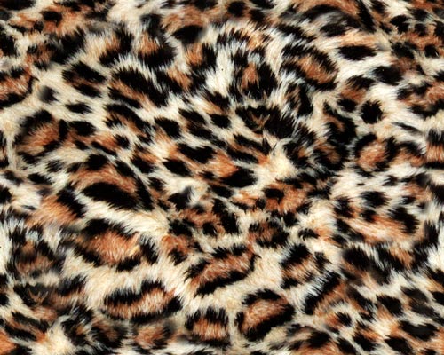 Animal I