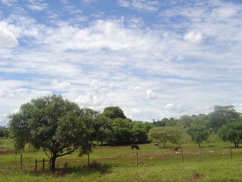 Fundo 04