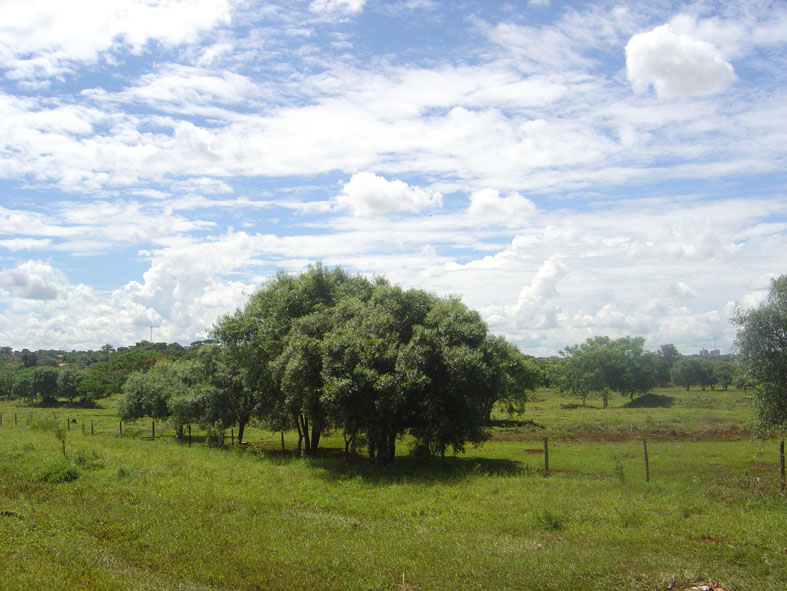 Fundo03
