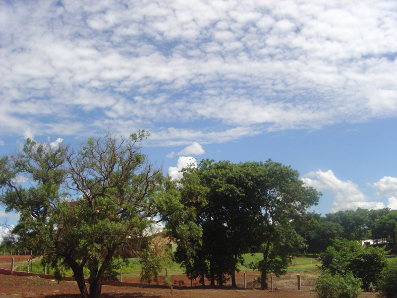 Fundo 02