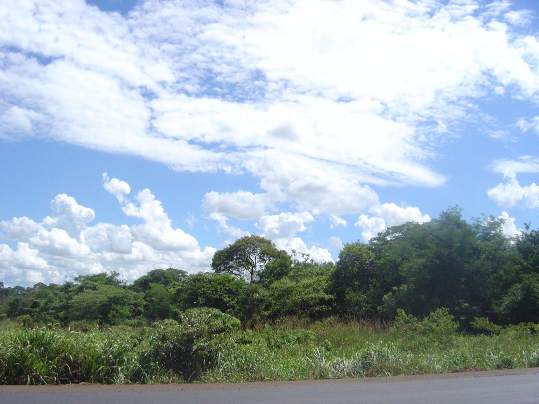 Fundo (0)