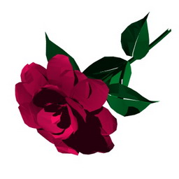 Download 3D Rose