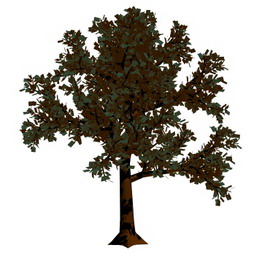 tree parkgarden- 3D Model Preview #6b63312a
