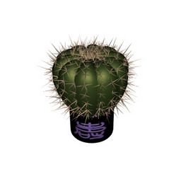 cactus - 3D Model Preview #bd4a01c6
