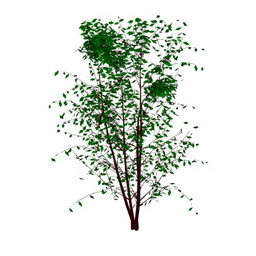 tree small3 3D Model Preview #2ae895d5
