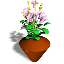 Download 3D Lilies