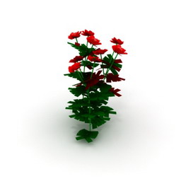 roses  3D Model Preview #f2fb286f