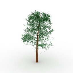 3D Tree preview