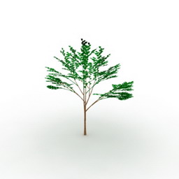 tree 4 3D Model Preview #f980b274