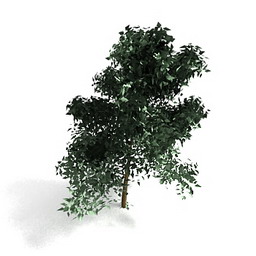 tree - 3D Model Preview #e3c952f2