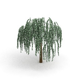 3D Willow preview