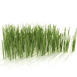 grass 06 3D Model Preview #430a9851
