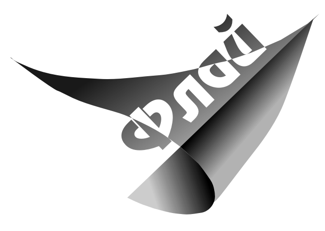 Fly