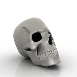 Download 3D Skull