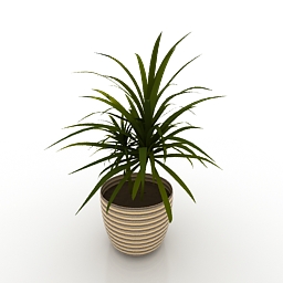 house plant 3D Model Preview #b70ddaa2