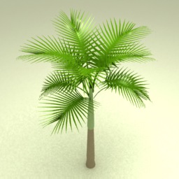 Download 3D Palm Tree