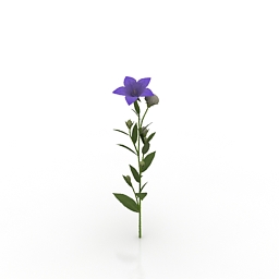Download 3D Flower
