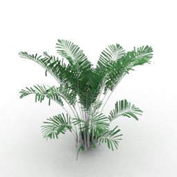 Download 3D Plant