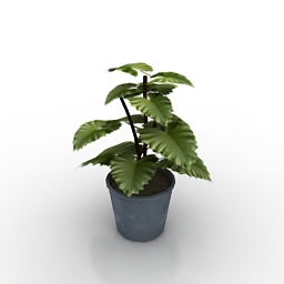 plant 3D Model Preview #54c4c43c