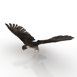 falcon 2 3D Model Preview #8ce5977a
