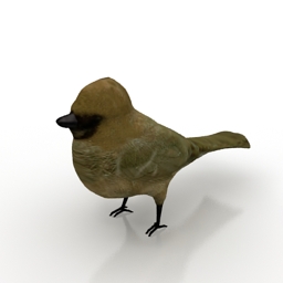 3D Bird preview