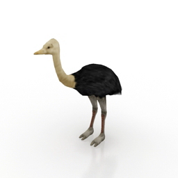 Download 3D Ostrich
