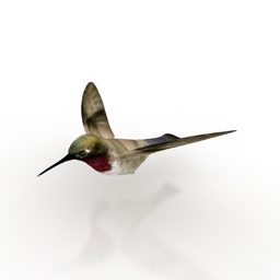 Download 3D Bird