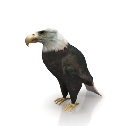 eagle 1 3D Model Preview #20476bb1