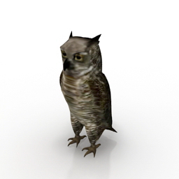 3D Owl preview