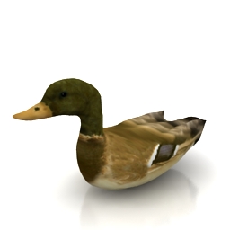 Download 3D Duck