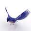 3D Bluebird