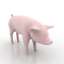 3D "Pigs" - Toys
