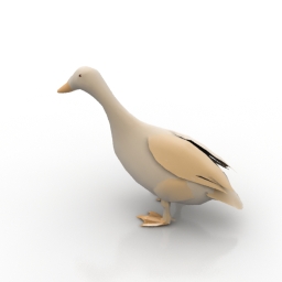 Download 3D Duck