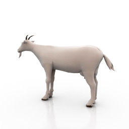 Download 3D Goat
