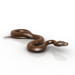 3D Snake Models ~ Download a Snake 3D Model