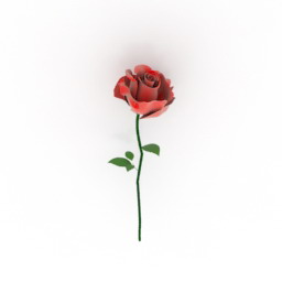 Download 3D Rose
