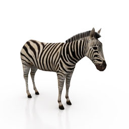 Download 3D Zebra