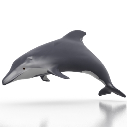 Download 3D Dolphin