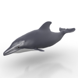 3D Dolphin preview
