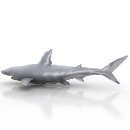 3D Shark preview