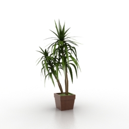 3D Plant preview