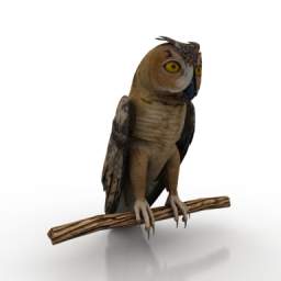 Download 3D Bird