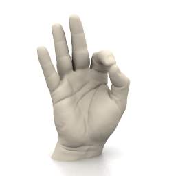 Download 3D Hand