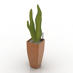 plant giuseppe sardo 3D Model Preview #ac201d5f