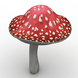 Download 3D Fungus
