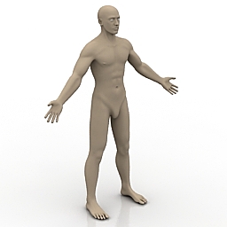 human 3D Model Preview #d2161d4e