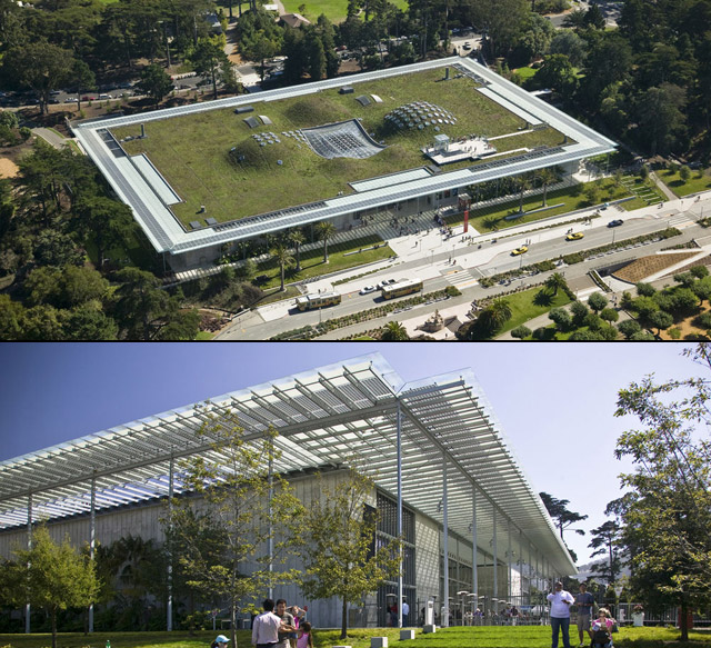 California Academy of Sciences, San Francisco