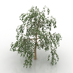 tree 3D Model Preview #e8cfa37b