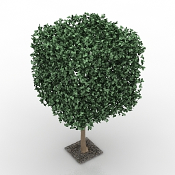 Flower Tree 3d Model Free Download